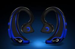 5�ֽ���2015���չȭ�ŵ����ֽ�������
